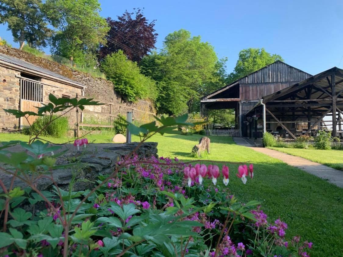 Coeur De Boeur Villa Houffalize Exterior photo